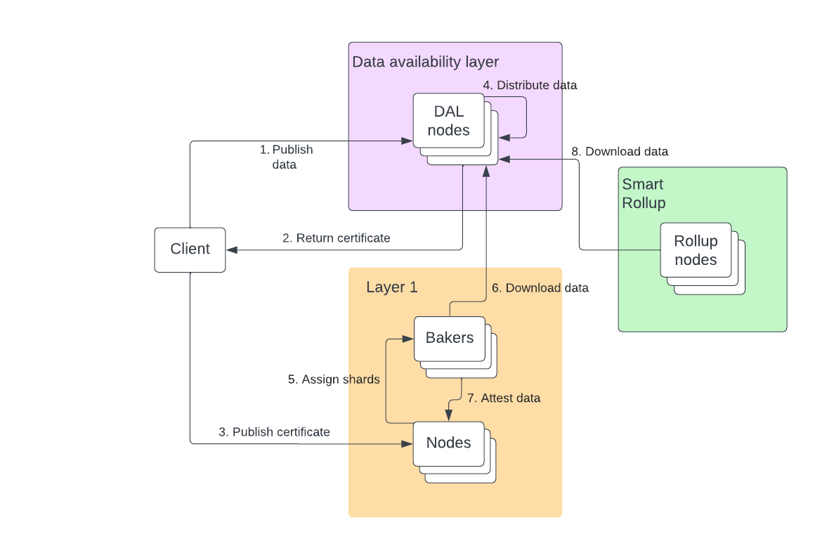 Overall diagram of the workflow of the Data Availability Layer